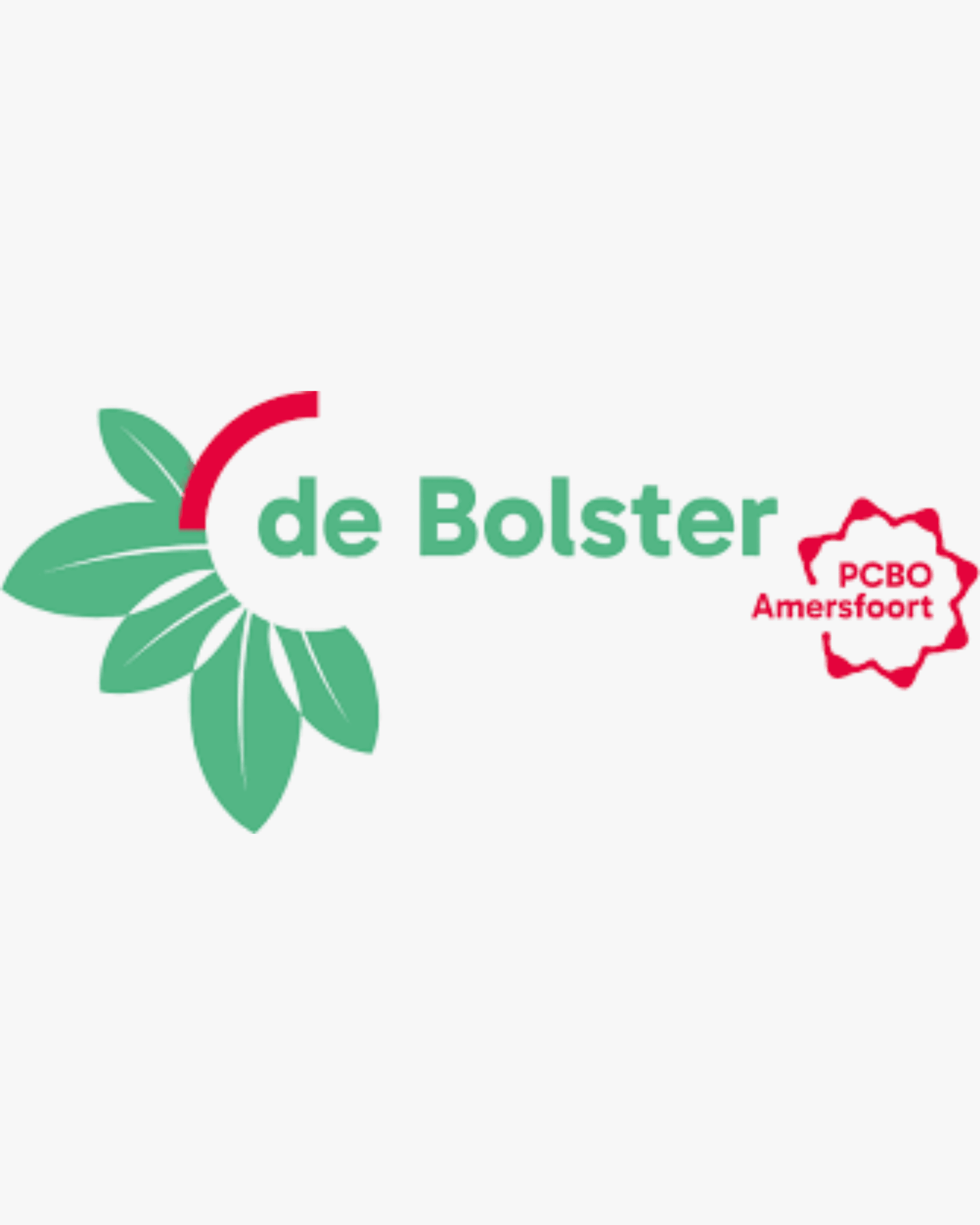 Basisschool de bolster
